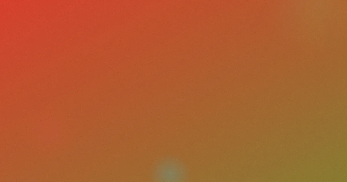 奴隶船推荐：新手资料与模型对比